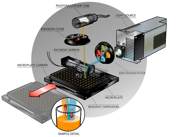 Fluorescenc measurement using filters