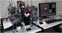 Leica SP8 Confocal Laser Scanning Microscope